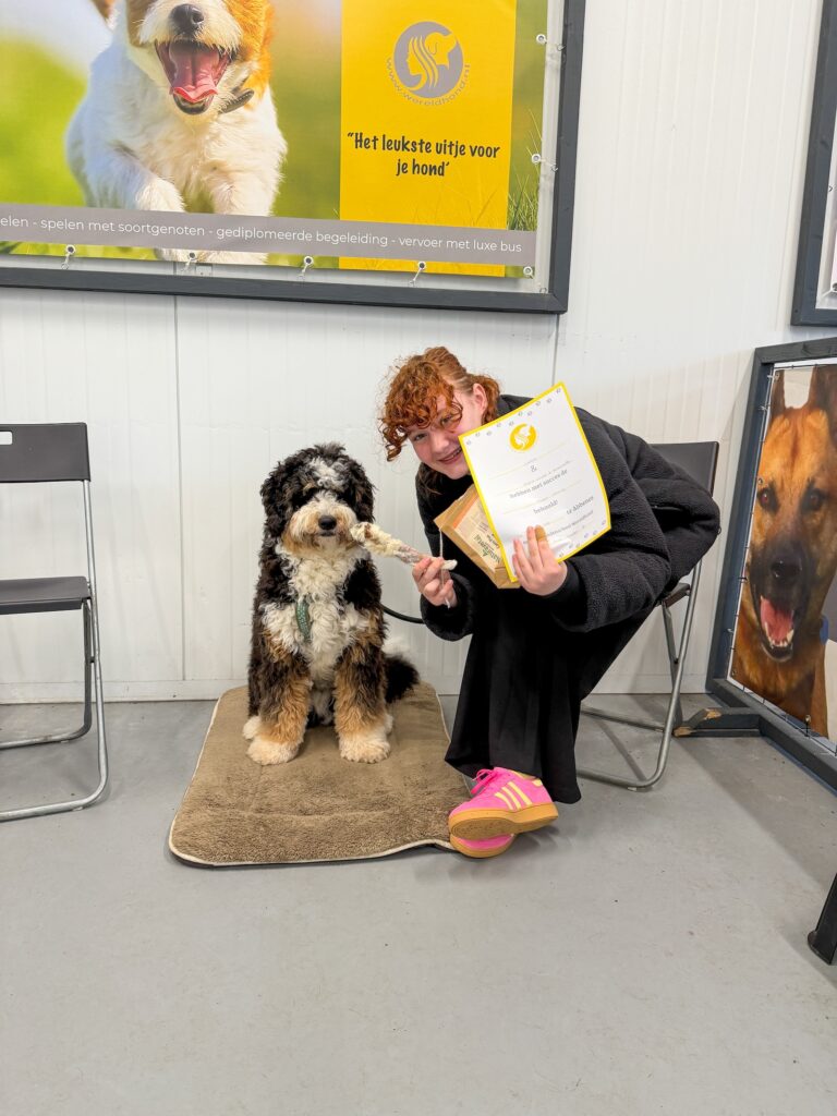 Amaranthe en Ledgie poseren trots met zijn certificaat bij de hondenschool.