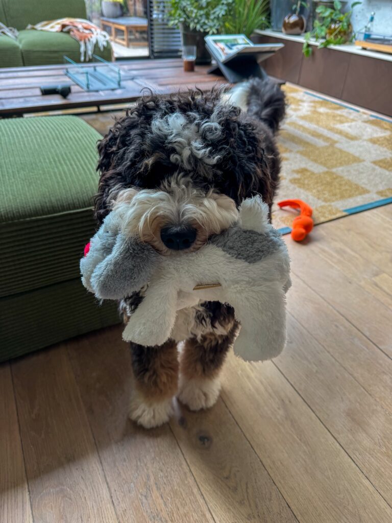 Legend met knuffel in de woonkamer