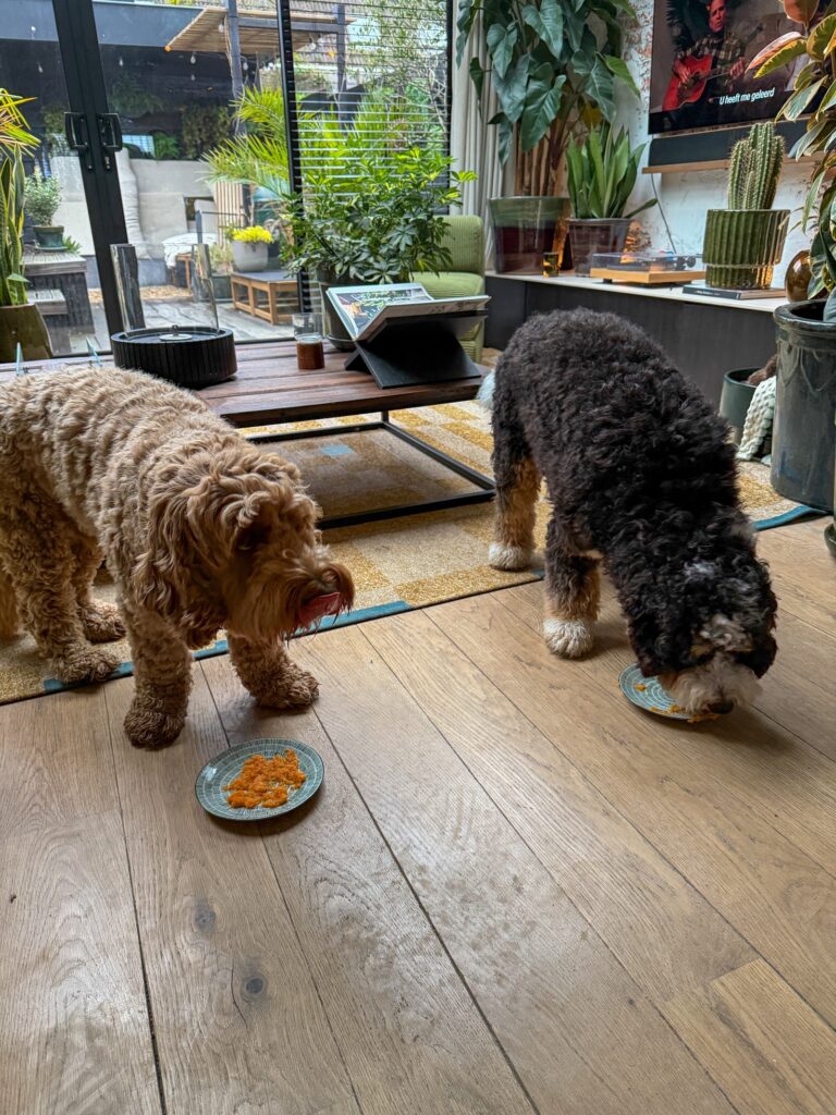 Legend en Teun eten samen van kleine bordjes op de houten vloer in de woonkamer