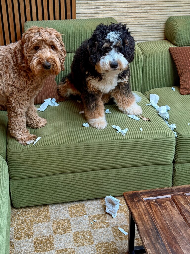 Thuis bij familie over de kook: week 6