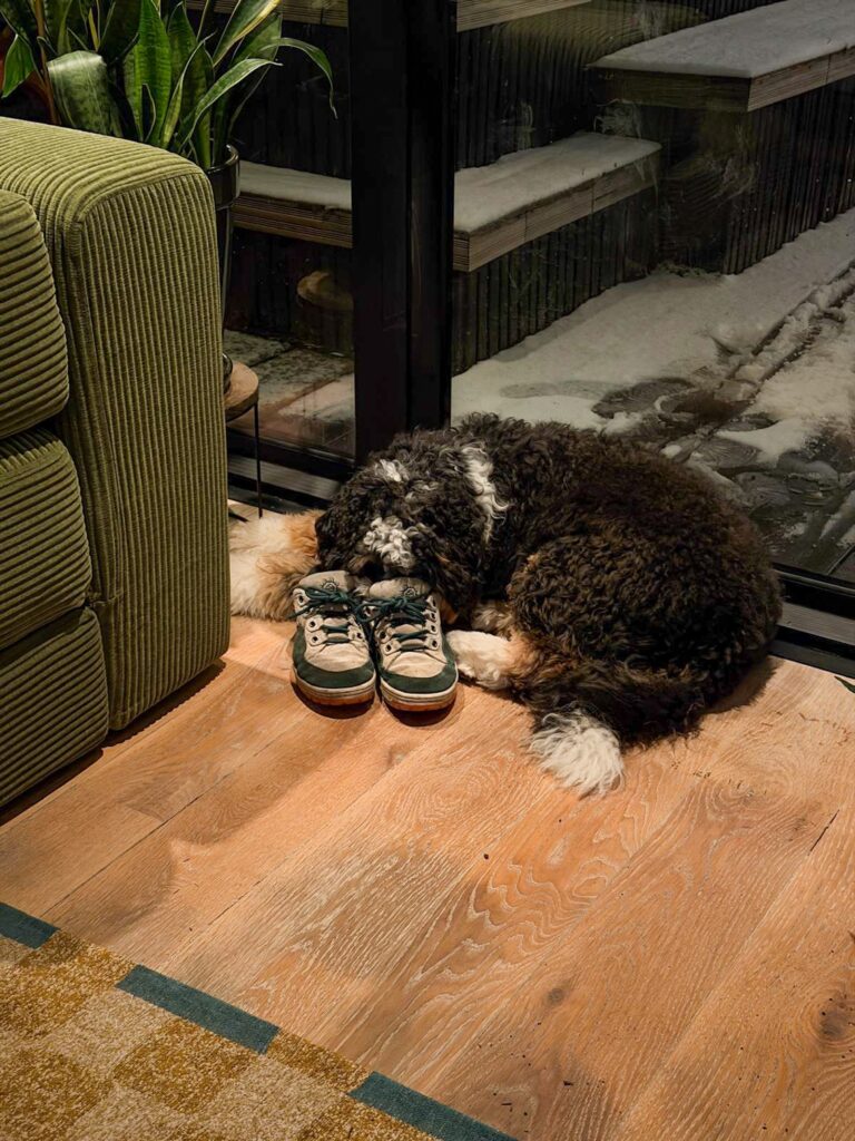 Legend ligt naast een paar schoenen bij het raam.