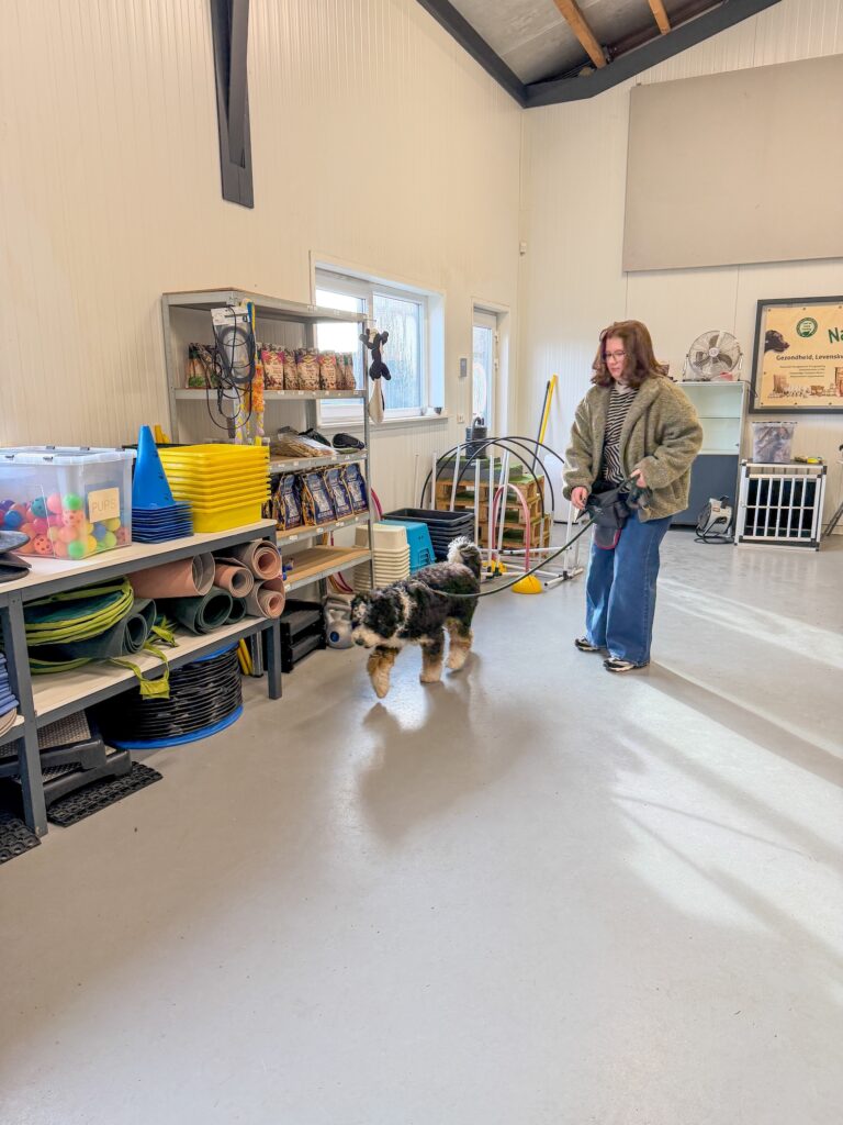 Thuis bij familie over de kook: week 6