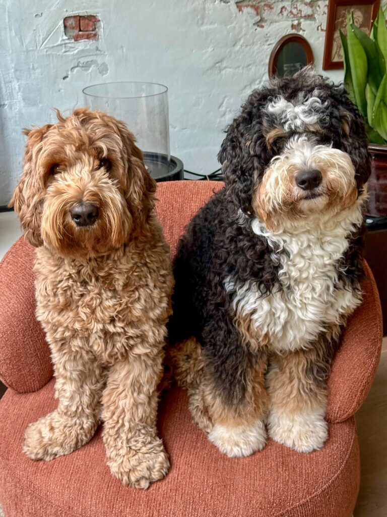 Teun en Ledgend zitten samen op de oranje fauteuil in onze woonkamer.