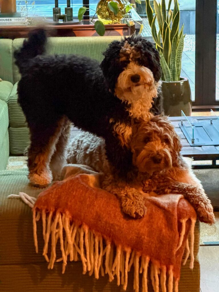 Legend en Teun samen op de bank