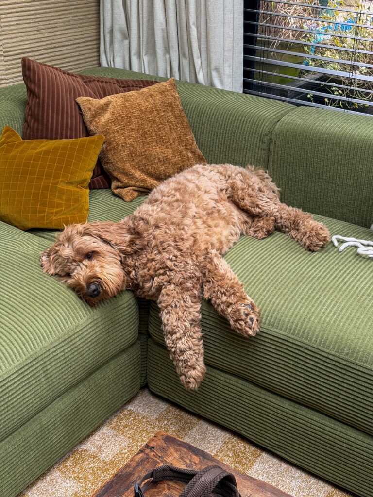 Teun ligt languit te slapen op de groene bank in de woonkamer