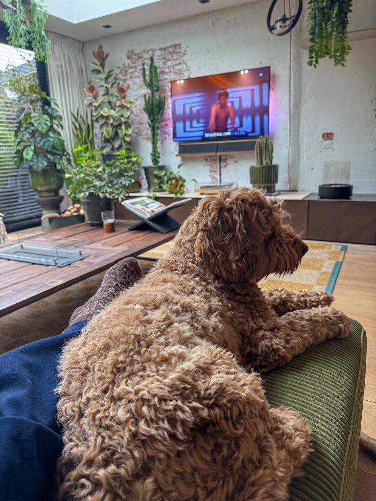 Teun liggend op de groene bank terwijl er tv aan staat.