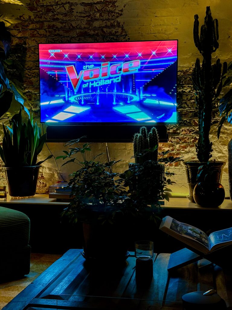 Gezellige woonkamer in de avond met planten en kaarslicht terwijl The Voice of Holland op televisie te zien is