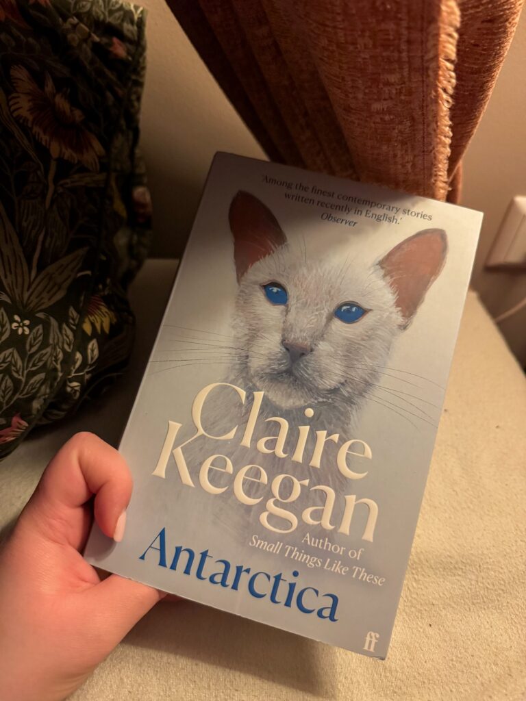 Beaudine leest een boek in bed