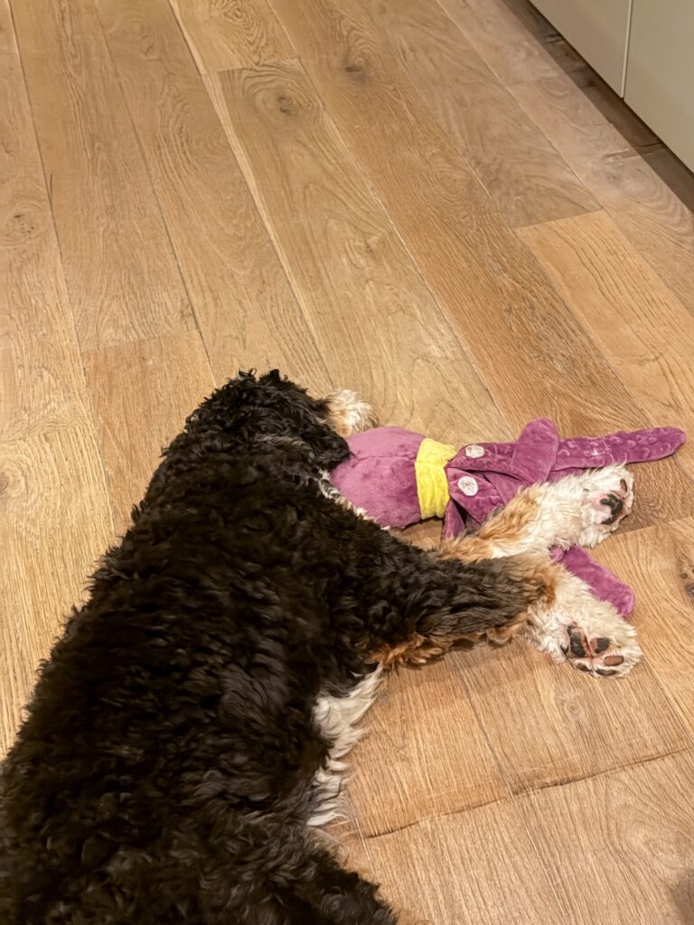 legend ligt te slapen met een knuffel