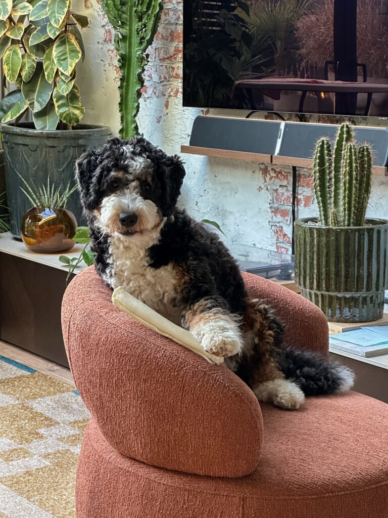 Legend zit op de stoel met een bot