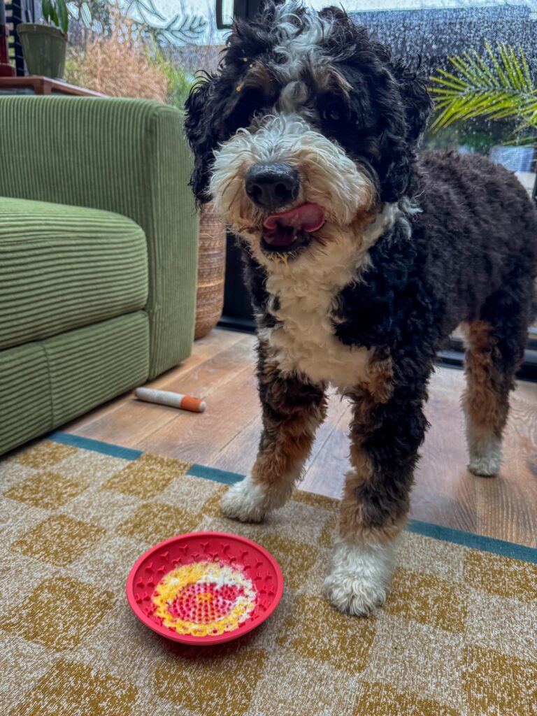 Legend eet een ei snack uit een likmat