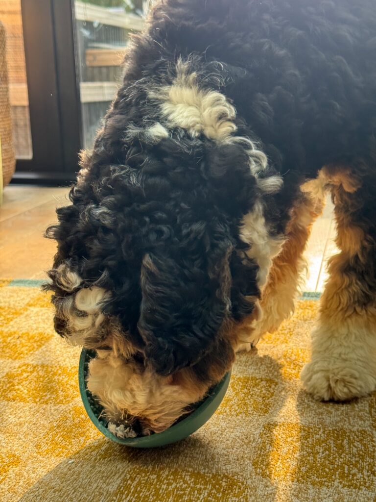 Legend eet een likmat met yoghurt