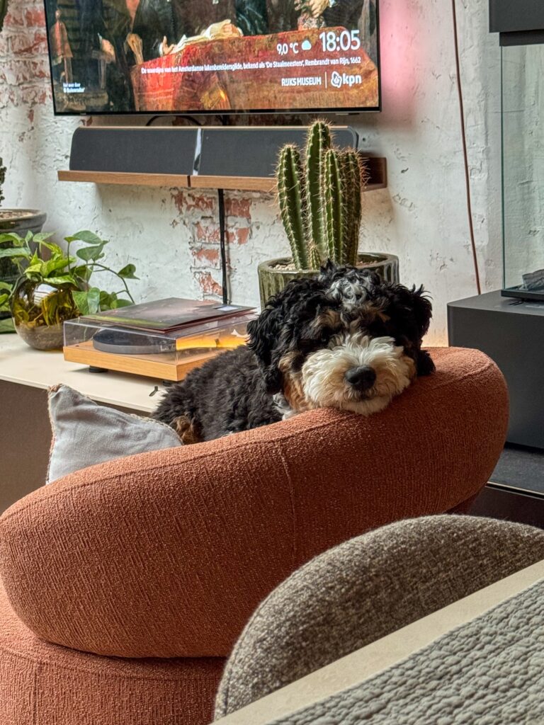 Thuis bij familie over de kook: week 13