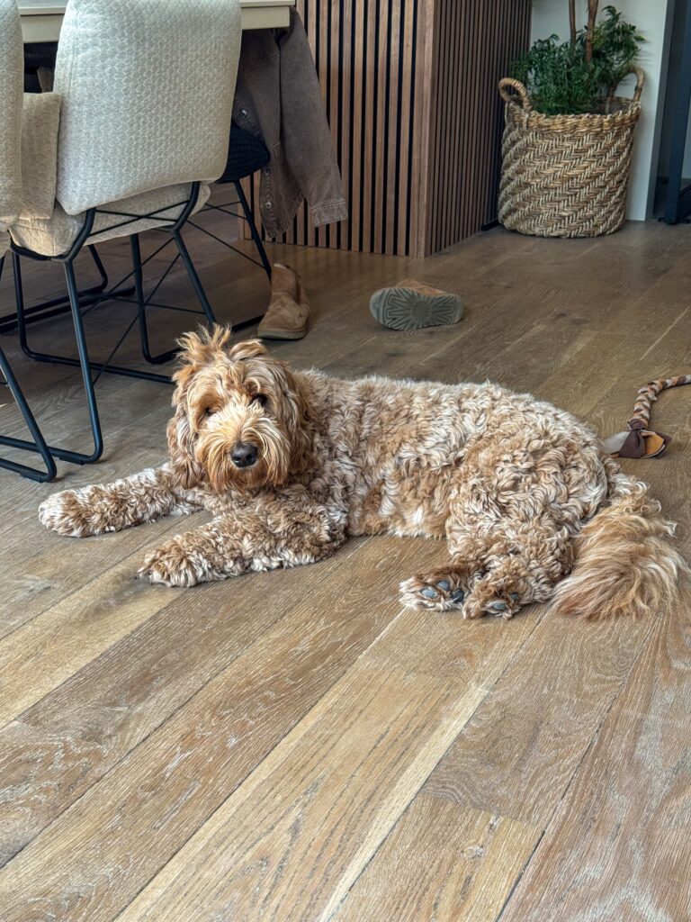 Teun ligt op de vloer met opstekende haren