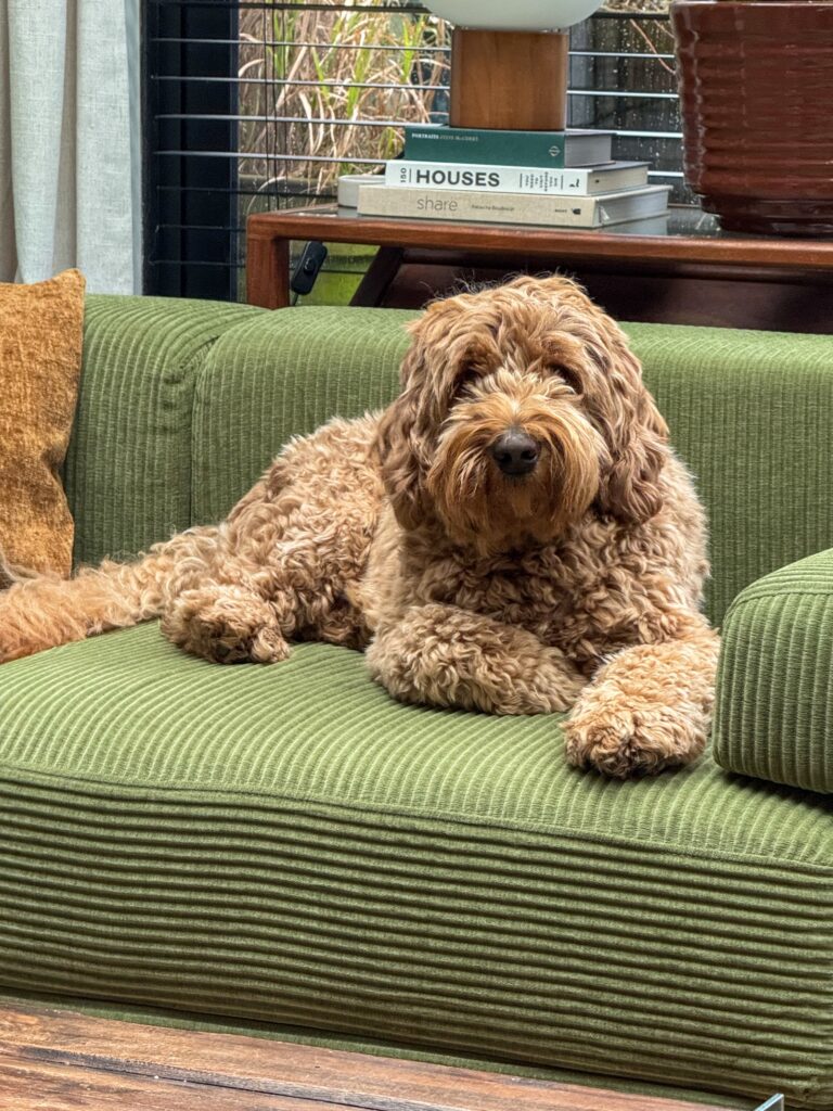 Teun ligt ontspannen op de groene bank in de woonkamer