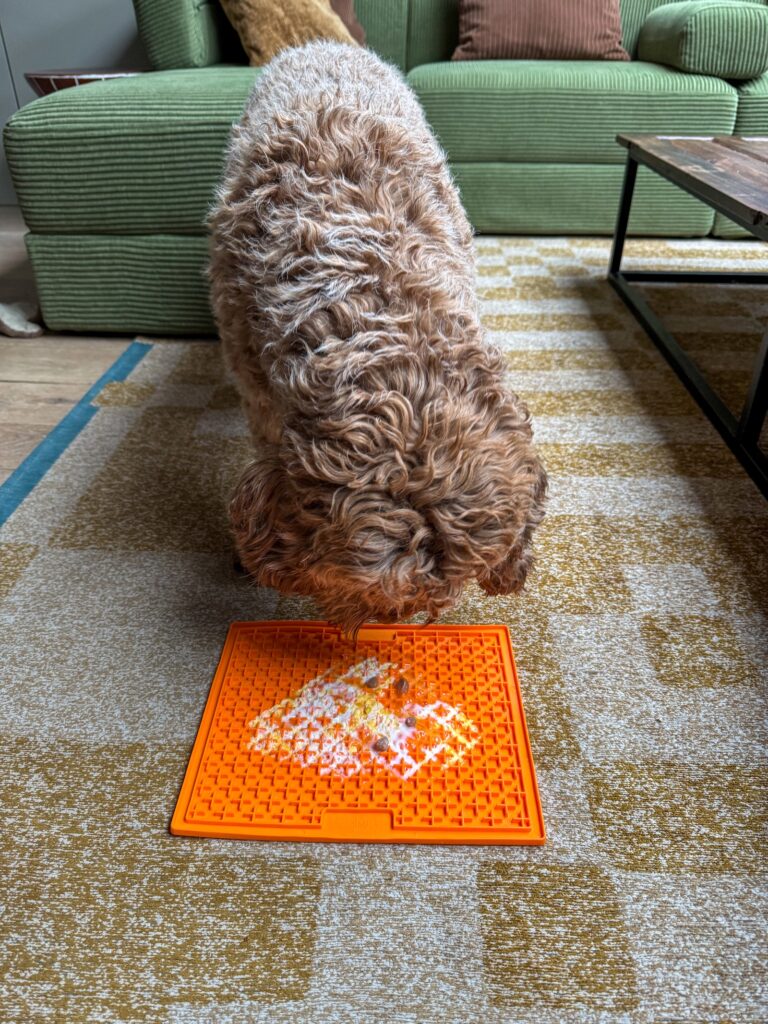 Teun eet ei van een likmat