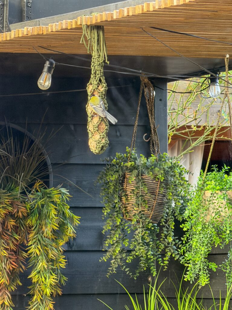 Vogeltje eet van een vetbol onder de overkapping in de tuin