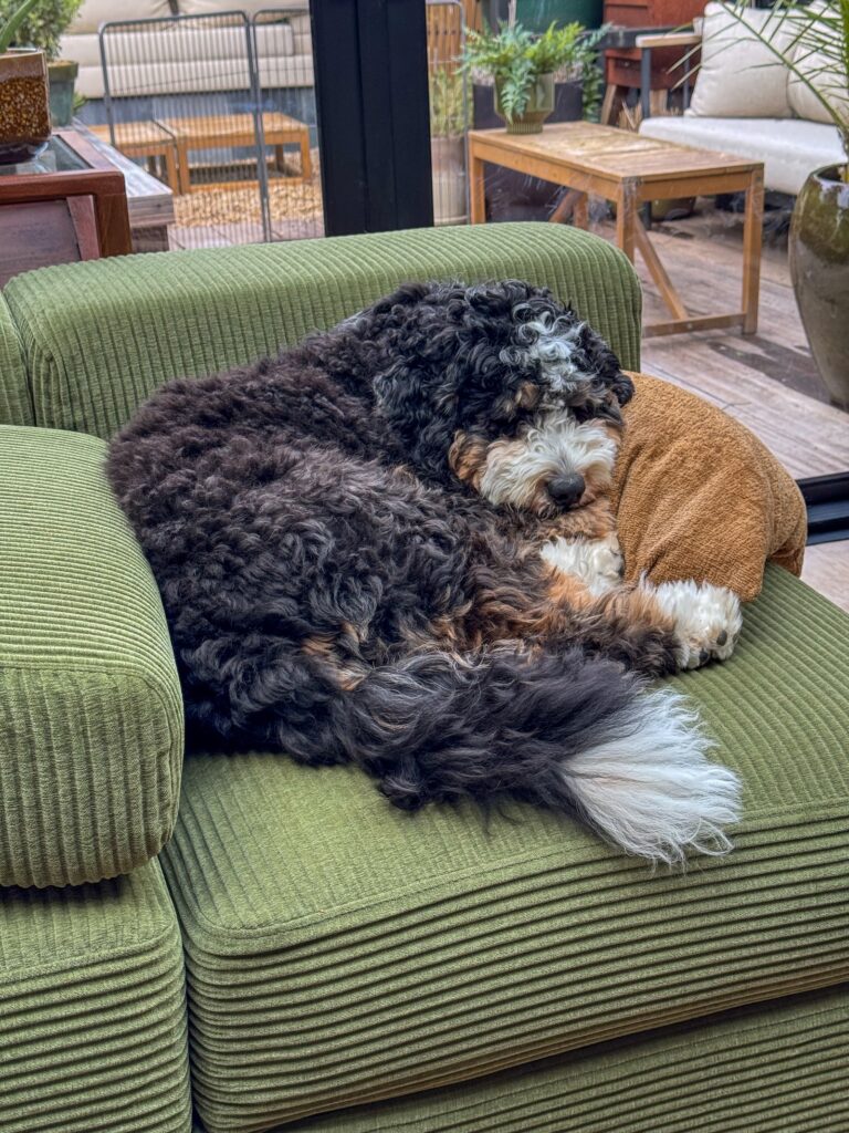 Thuis bij familie over de kook: week 14