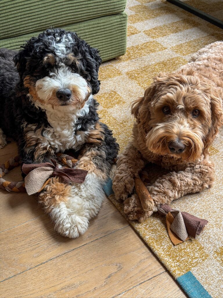 Thuis bij familie over de kook: week 14