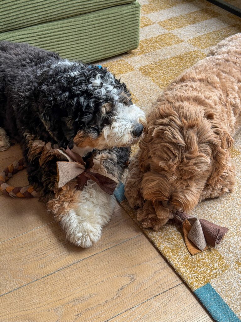 Thuis bij familie over de kook: week 14