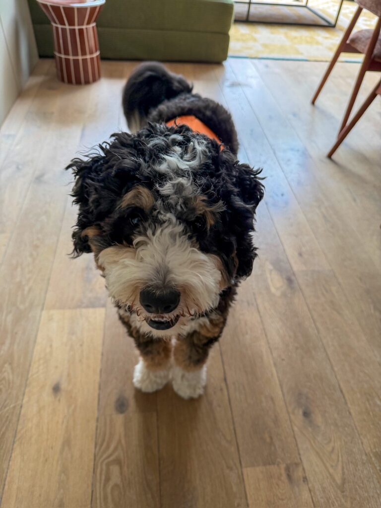 Thuis bij familie over de kook: week 14