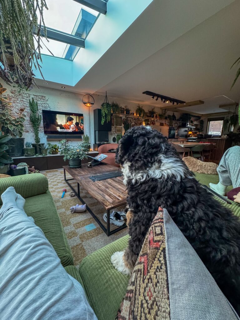 legend kijkt mee op de bank met de film