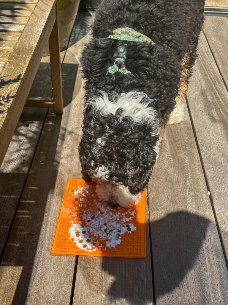 legend likt yoghurt van een likmat