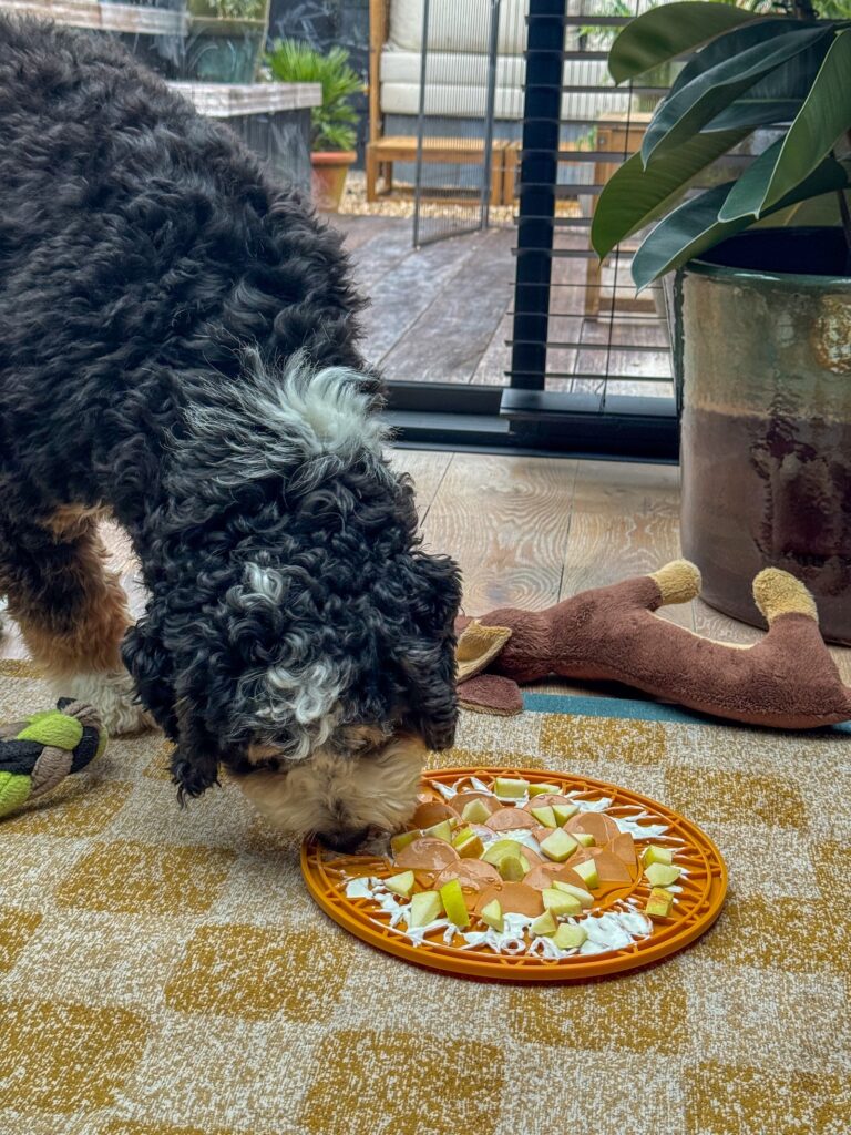 legend eet van oranje likmat op het kleed