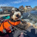 legend geniet op de boot in zijn zwemvest