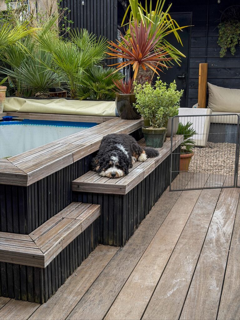 Legend ligt op de rand van het zwembad buiten