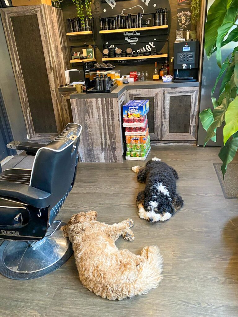 de honden liggen op de vloer in de barbershop