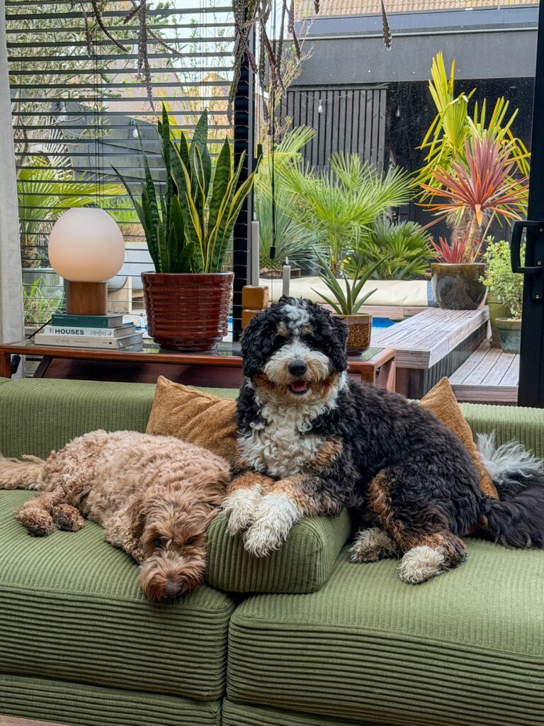 Teun en Legend liggen samen op de bank