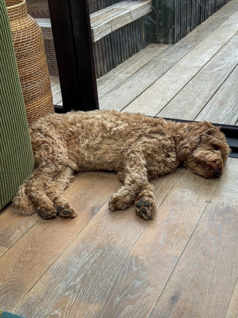 Teun ligt tegen de pui aan