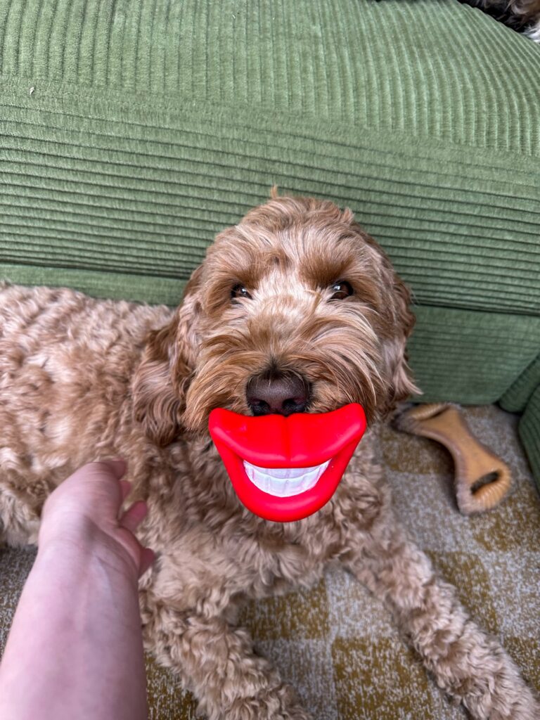 teun met een gek speeltje in zijn mond