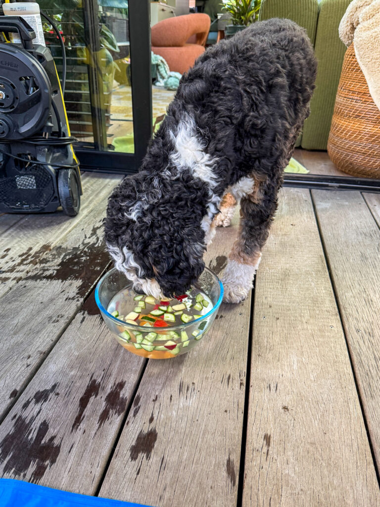 Legend heeft eten in het water