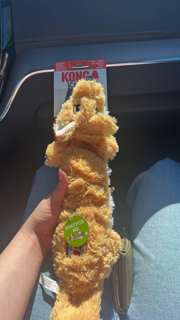 speeltje in de auto vasthouden
