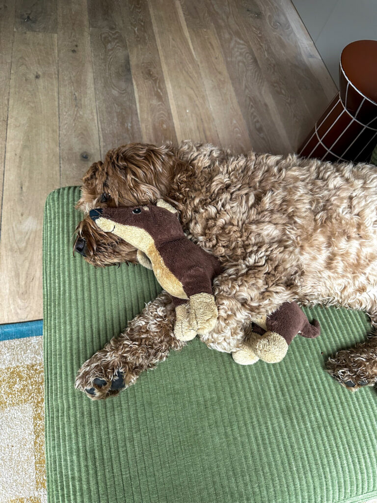 Teun op de bank met een knuffel