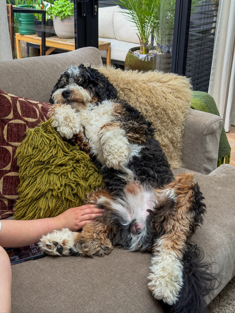 Thuis bij Familie over de kook: week 26