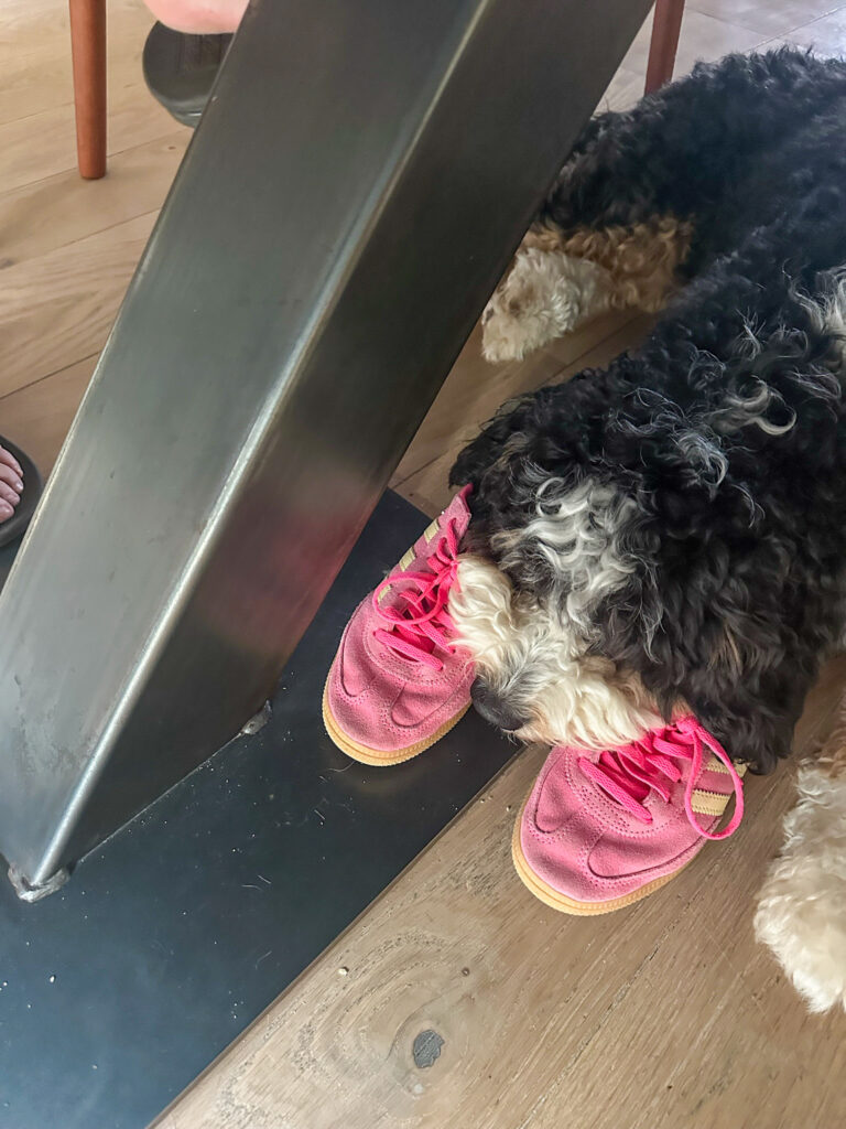 Thuis bij Familie over de kook: week 26