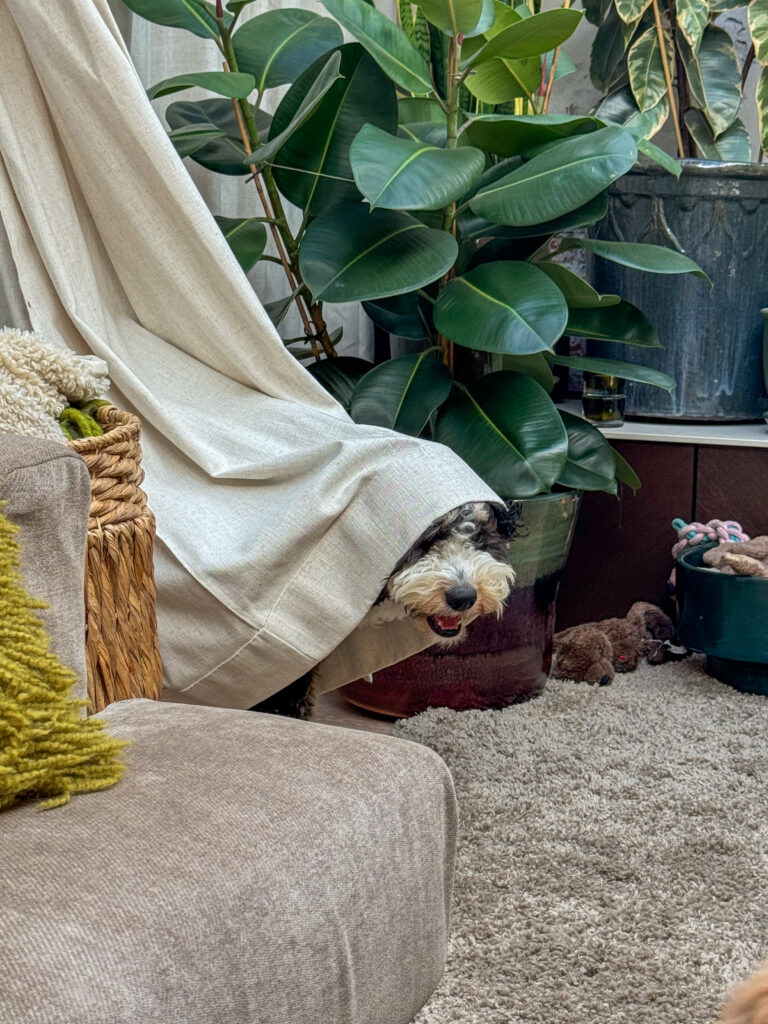 Thuis bij Familie over de kook: week 26