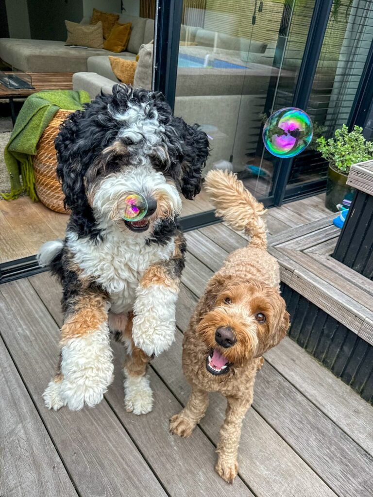 Teun en Legend samen met de bellenblaas