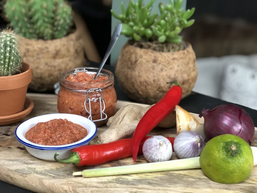 Thaise rode currypasta zelf maken