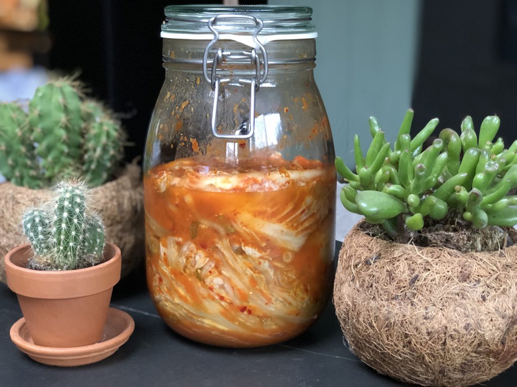 recept zelf kimchi maken en laten fermenteren