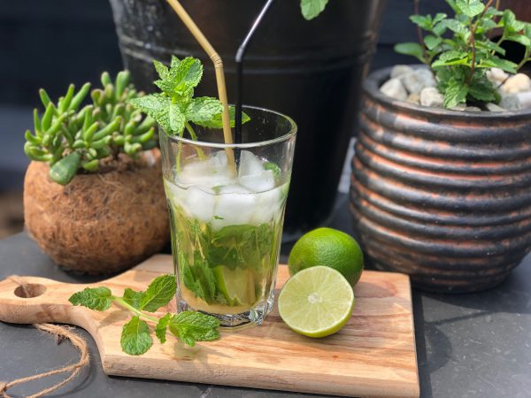 alcoholvrije mojito