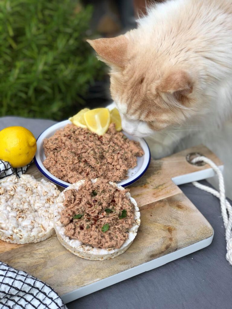de kat vind tonijn ook erg lekker