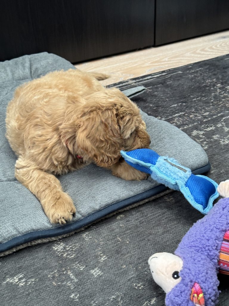 Thuis bij familie over de kook: Augustus