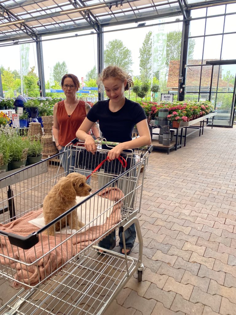 Thuis bij familie over de kook: Augustus