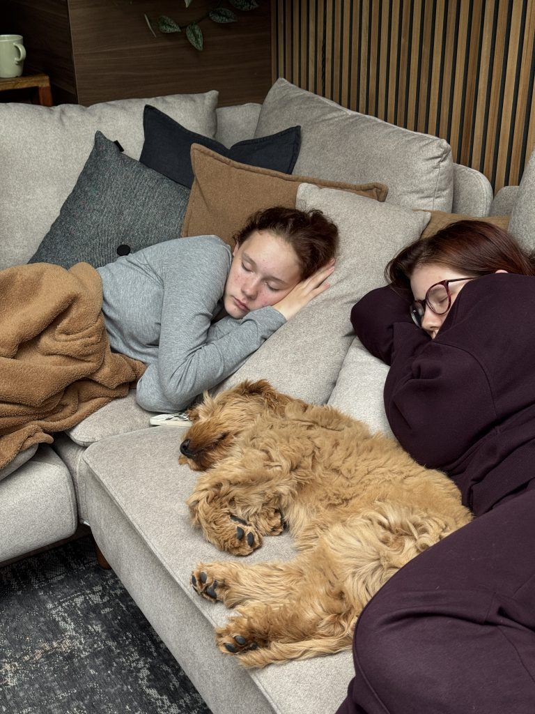 Thuis bij familie over de kook oktober