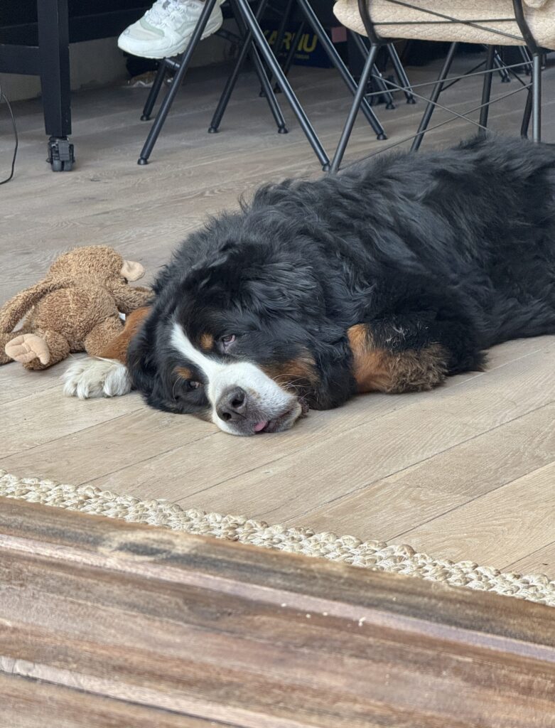 Thuis bij Familie over de Kook β week 20
