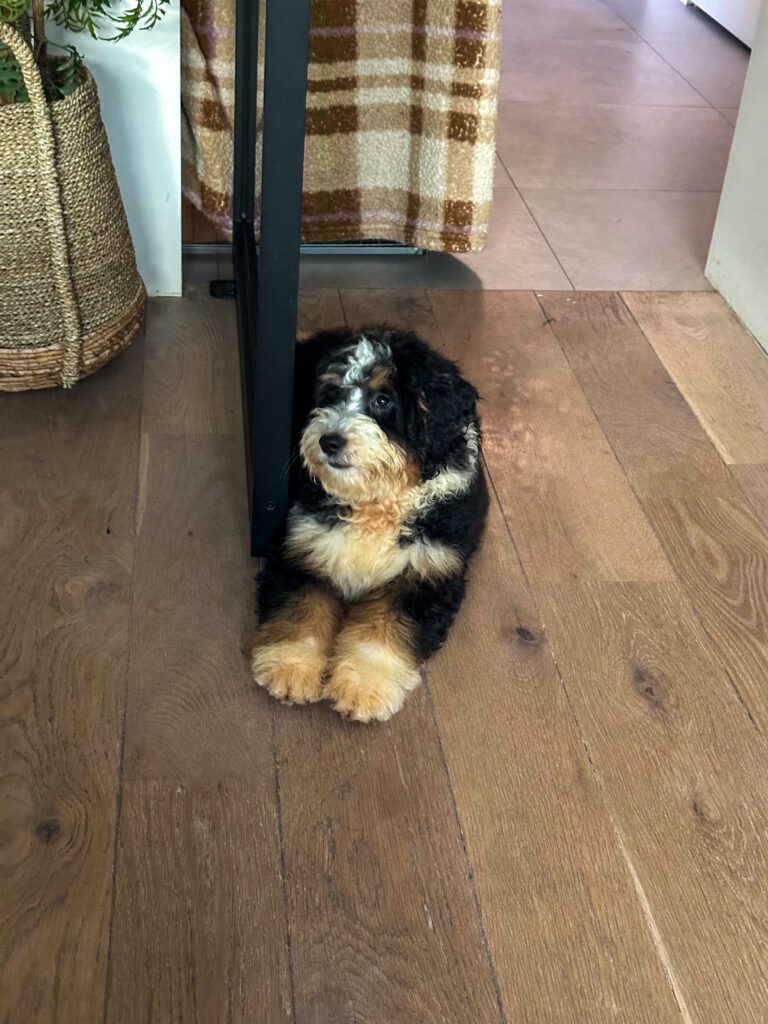 Thuis bij familie over de kook: week 36